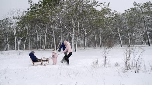 Happy Family Sledding on Snowy Winter Day Daughter Helps Father and Mother to Pull Sled with Son on
