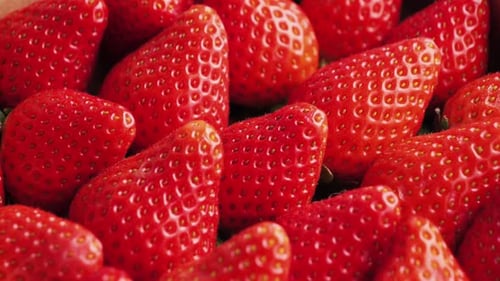 Close Up of Fresh Red Strawberries