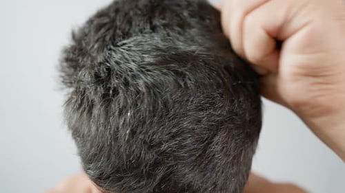 Hand Massages Short Graying Hair on Head