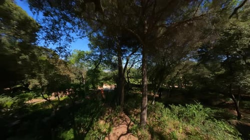 Aerial View of Garden Hedge Maze in Urban Park
