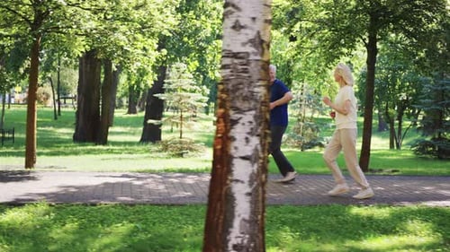 Senior Couple Jogging Together in Park