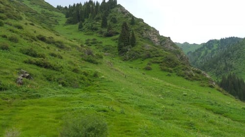 Green Mountains Landscape