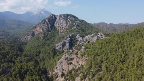 Aerial view of green pine forests and mountains