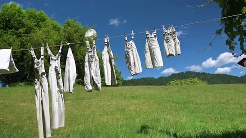 Clean Clothes Hanging on a Clothesline in Field