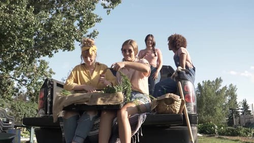Of Friends with Basket of Fresh Vegetables on Pickup Truck
