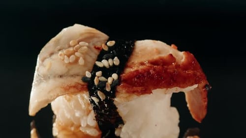 Eel Fish Sushi Sashimi Nigiri Platter Japanese Sushi Restaurant Fresh Tuna and Salmon Slices in