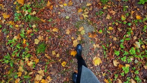 POV shot of a tourist wearing black boots and walking down the forest alley in autumn during daytime
