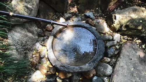 Slo-Mo Overhead Full Shot, Japanese Water Feature, Botanical Gardens, Mt Coot-tha Brisbane