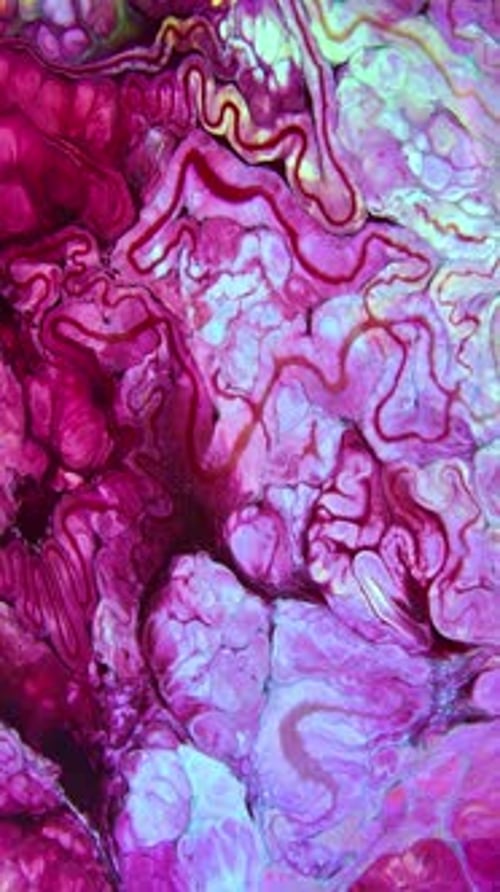 Pink, White, and Turquoise Abstract Fluid Art