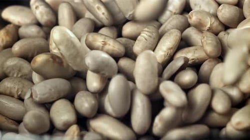 White Beans Fall on a Wooden Table Filmed on a Highspeed Camera at 1000 Fps