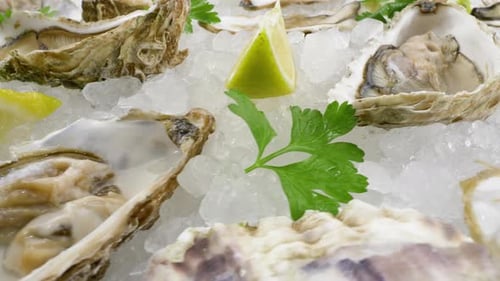 Oysters on Half Shell on Ice