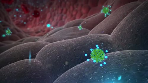 Microscopic Viral Infection Animation: Cells and Bloodstream Interaction