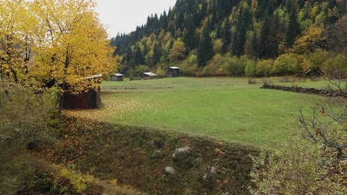 Autumnal Nature Scene with Wooden Buildings and Forest