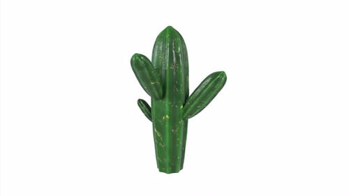 Cactus 3d object rotating loop