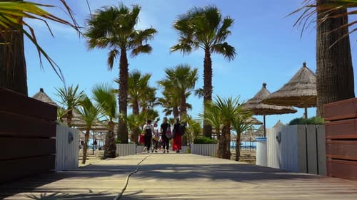 Tourist vacation resort with palms near sandy beach, women walking toward sunbathe chairs
