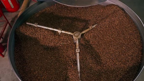 Closeup of a Coffee Roasting Factory Inside Drum Roasting Stirring Coffee