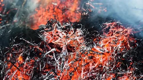 Fire ember