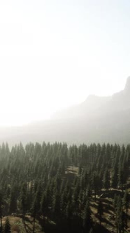Amazing Mountain Views in Northern Canada in Summer Time