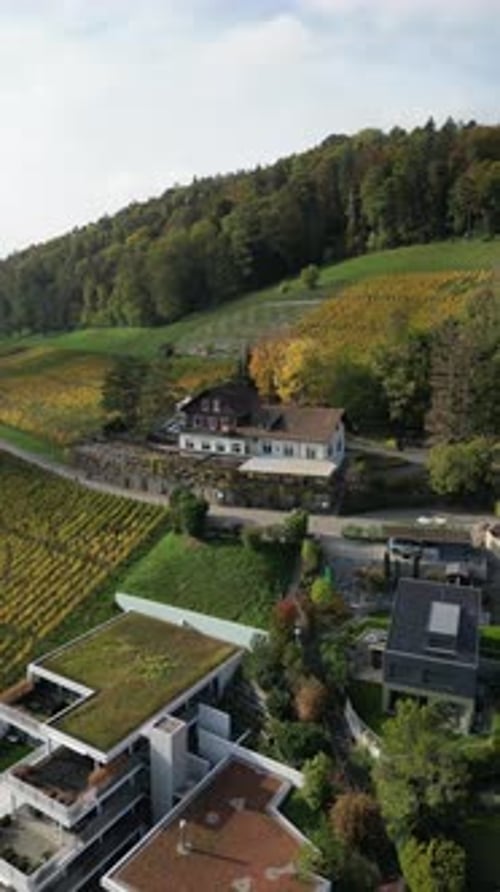Picturesque Vineyard Landscape with Modern Homes, Aerial View