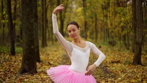 Portrait of a Ballerina in Pink Petticoat in the Middle of a Large Yellow Forest