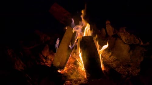 Cam Fire