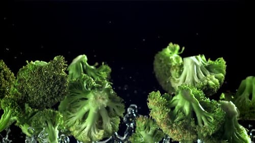 Broccoli Rises and Falls Filmed on a Highspeed Camera at 1000 Fps