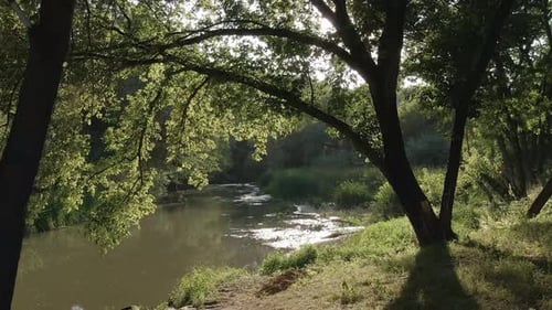Low Aerial View of a Calm Creek With The Sun Leaking Through Trees on a Summer Afternoon