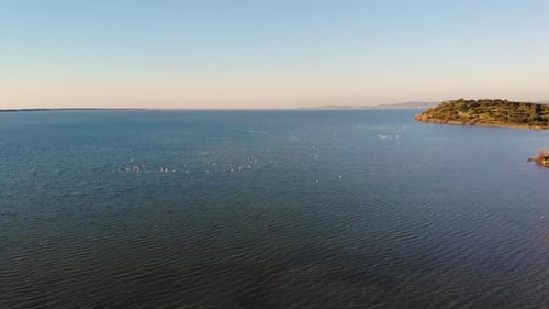Drone Forward Video Bright Morning View of Narta Lagoon and Flamingo Beautiful Spring Seascape of