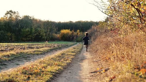 Little Happy Boys Twins Running Countryside Road Rural Childhood Autumnfamily