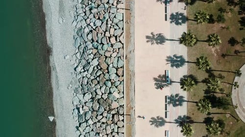 Aerial View of a Coastal Path with Palm Trees and a Rocky Shoreline Along Turquoise Waters on a
