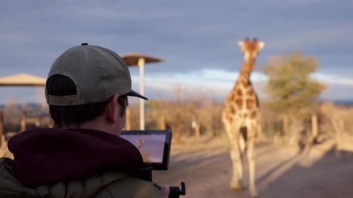 BTS wildlife cinematographer filming girafee on back of truck handheld shaky safari