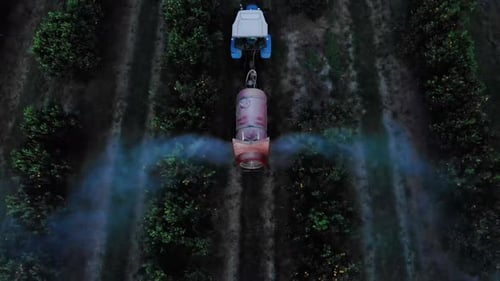 Agricultural tractor spraying herbicide on orange plantation in Brazil