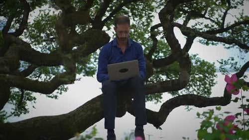 Man Works on Laptop Seated in Tree Branch