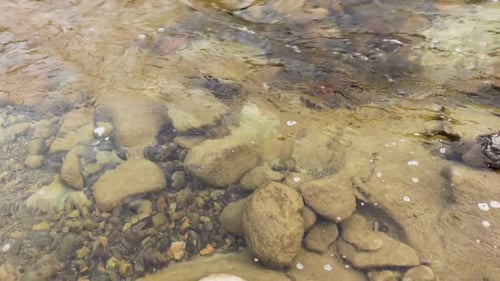 El lecho del río está despejado con el río fluyendo