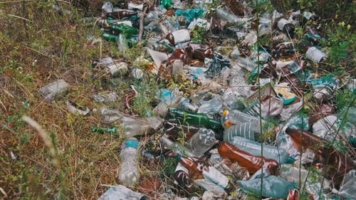Garbage Dump of Plastic and Bottles in the Forest Human Pollution of Nature