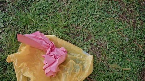 Un voluntario clasifica plástico en el césped en un primer plano de una acción de limpieza respetuosa con el medio ambiente