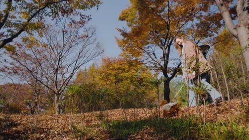 Cheerful Young Woman Playing with Dog Jumping in Autumn City Park