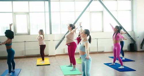 Group of Women Stretches Body Muscles Bending to Sides