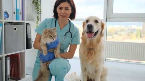 Doctor with Cat and Dog in Clinic