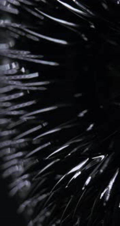 Vertical Video Background Magnetic Substance Magnetic Fluid Ferrofluid Black Liquid Surface Abstract