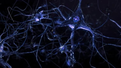 Animation of neuron cells. Nerve cells Activity in the Brain