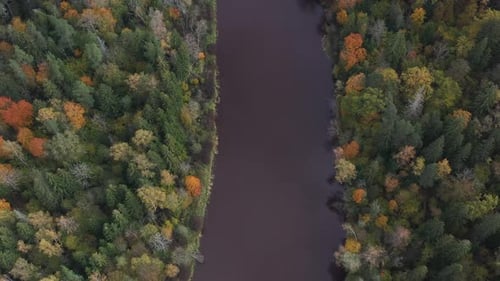 A drone soars above a winding river flanked by vibrant autumn forests, capturing a top-down view of