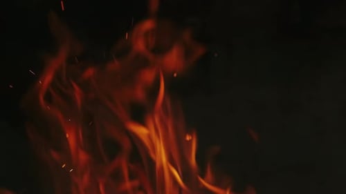 Intense Flames Flickering Against a Black Background