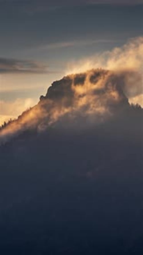 Vertical Video of Misty Forest Mountains