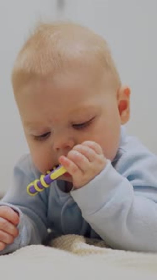 Portrait of a Cute Caucasian Baby Boy Playing with a Teether The Baby Has Been Teething for Several