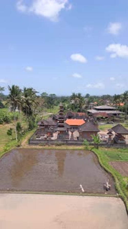 Vue aérienne du temple hindou balinais et du paysage des rizières à Ubud Bali