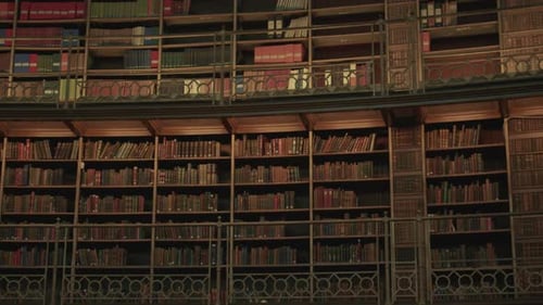 Wooden library shelves filled with books under warm ambient light.