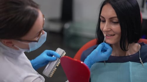 Dentist comparing teeth shade with patient