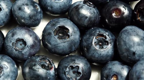 Fruits de mûre et myrtilles comme arrière-plan