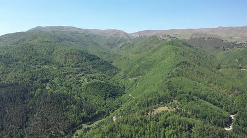 Aerial View Of Forest Filled Hills